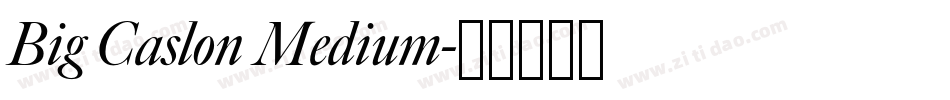 Big Caslon Medium字体转换